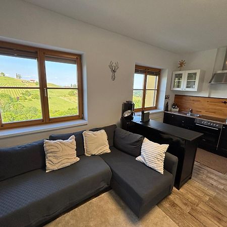 Glanz Und Gloria Weingartenapartment An Der Kellerstrasse, Viele Buschenschaenke, Sehr Ruhige Lage, Herrliche Aussicht! Leutschach Eksteriør bilde