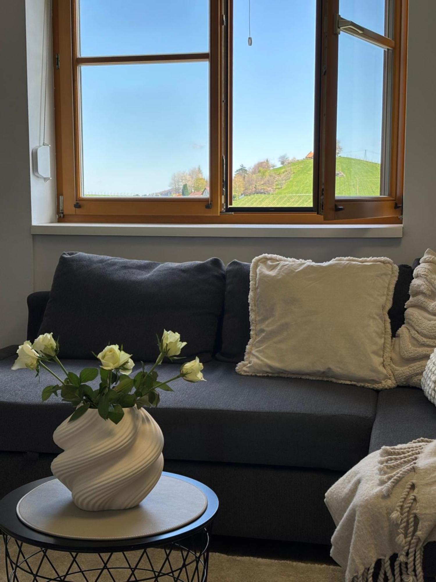 Glanz Und Gloria Weingartenapartment An Der Kellerstrasse, Viele Buschenschaenke, Sehr Ruhige Lage, Herrliche Aussicht! Leutschach Eksteriør bilde